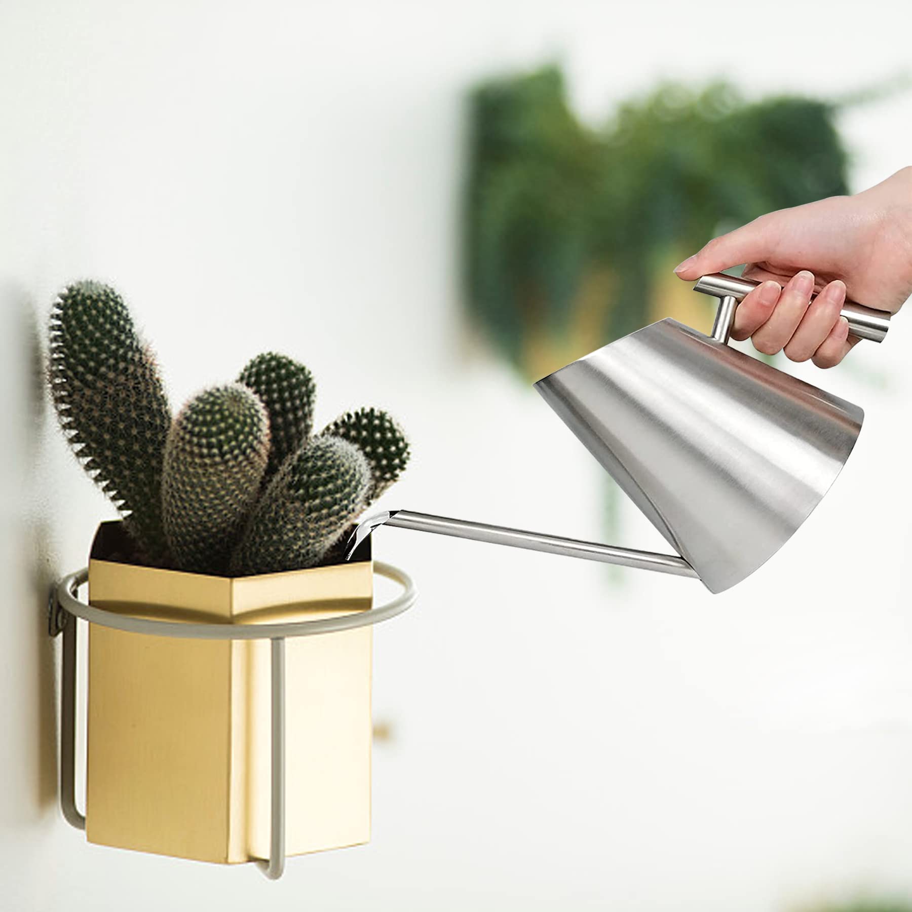 Long Neck Watering Can