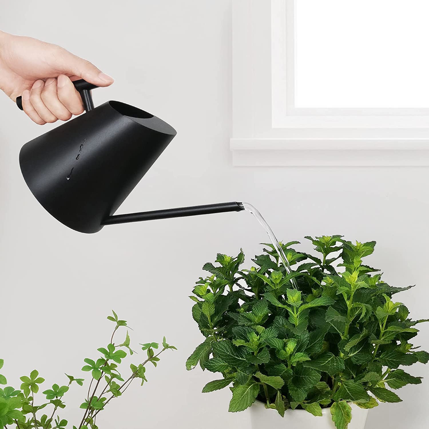 Long Neck Watering Can